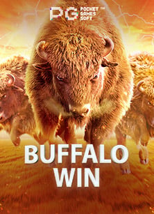 เปิดประสบการณ์กับ สม คร sbobet โบน ส 100 ใช้ยังไงให้คุ้ม